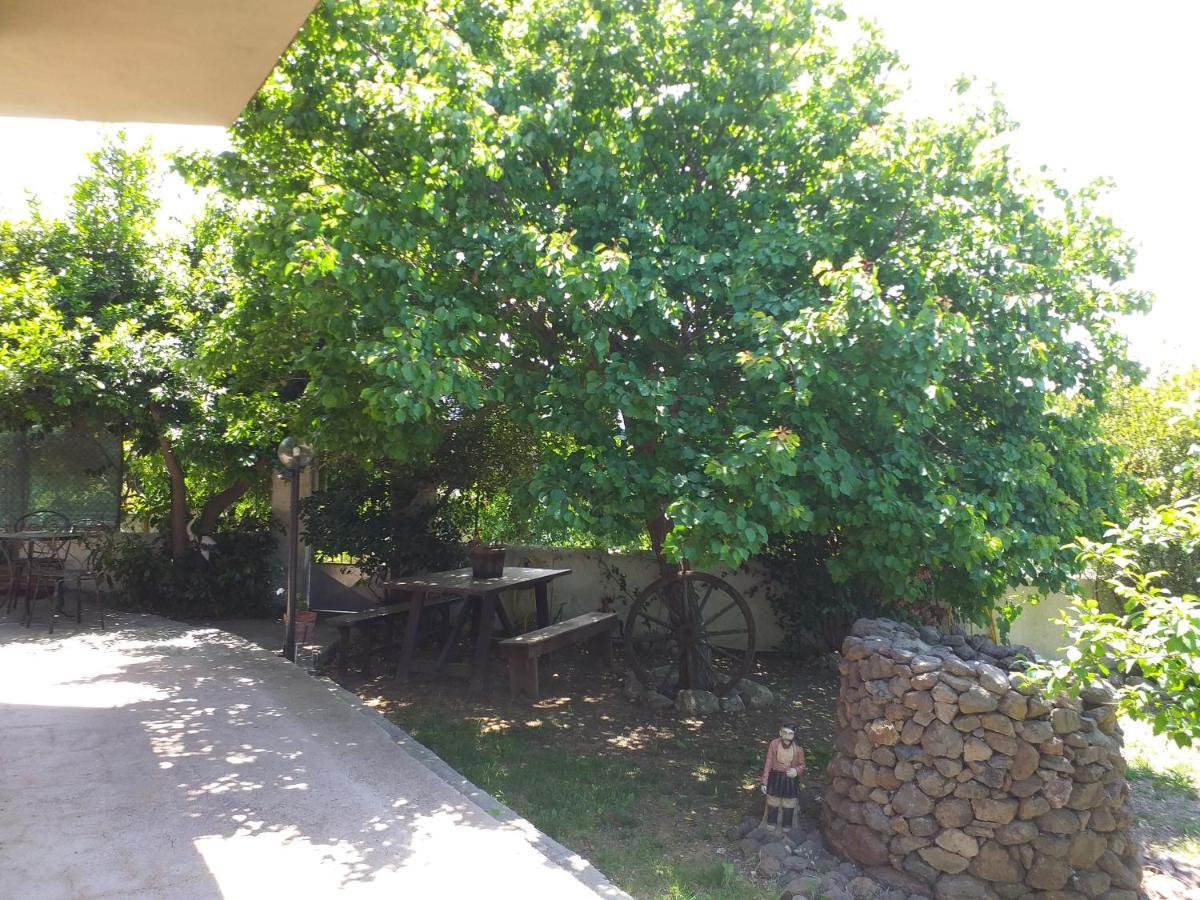 B&B Antica Botte Sassari Exteriör bild