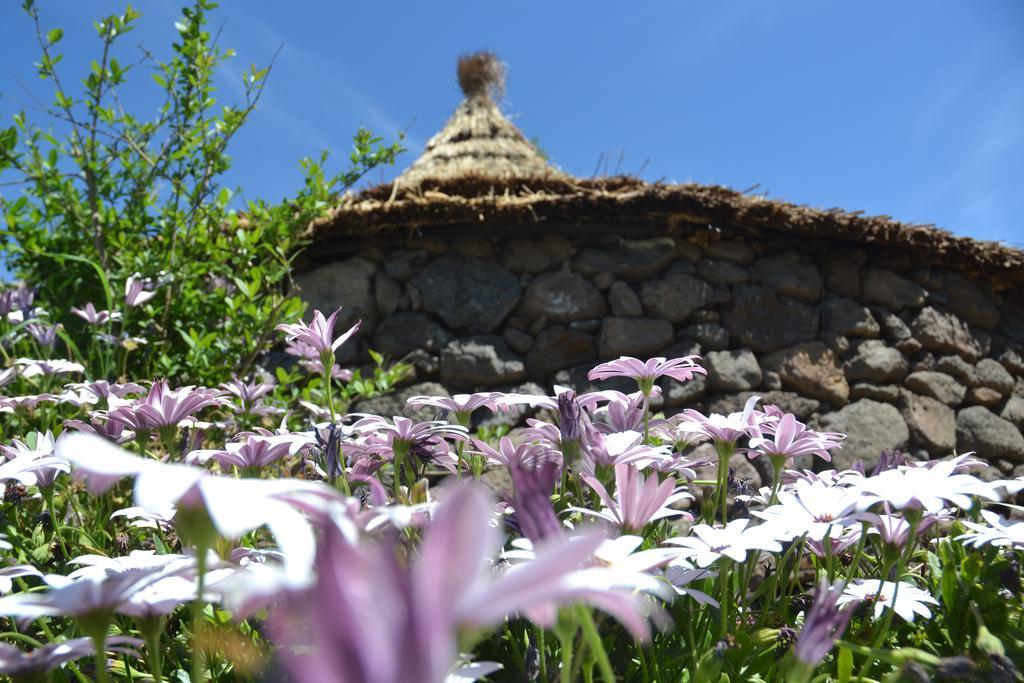 B&B Antica Botte Sassari Exteriör bild