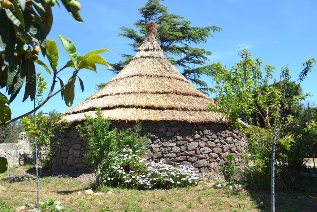 B&B Antica Botte Sassari Exteriör bild